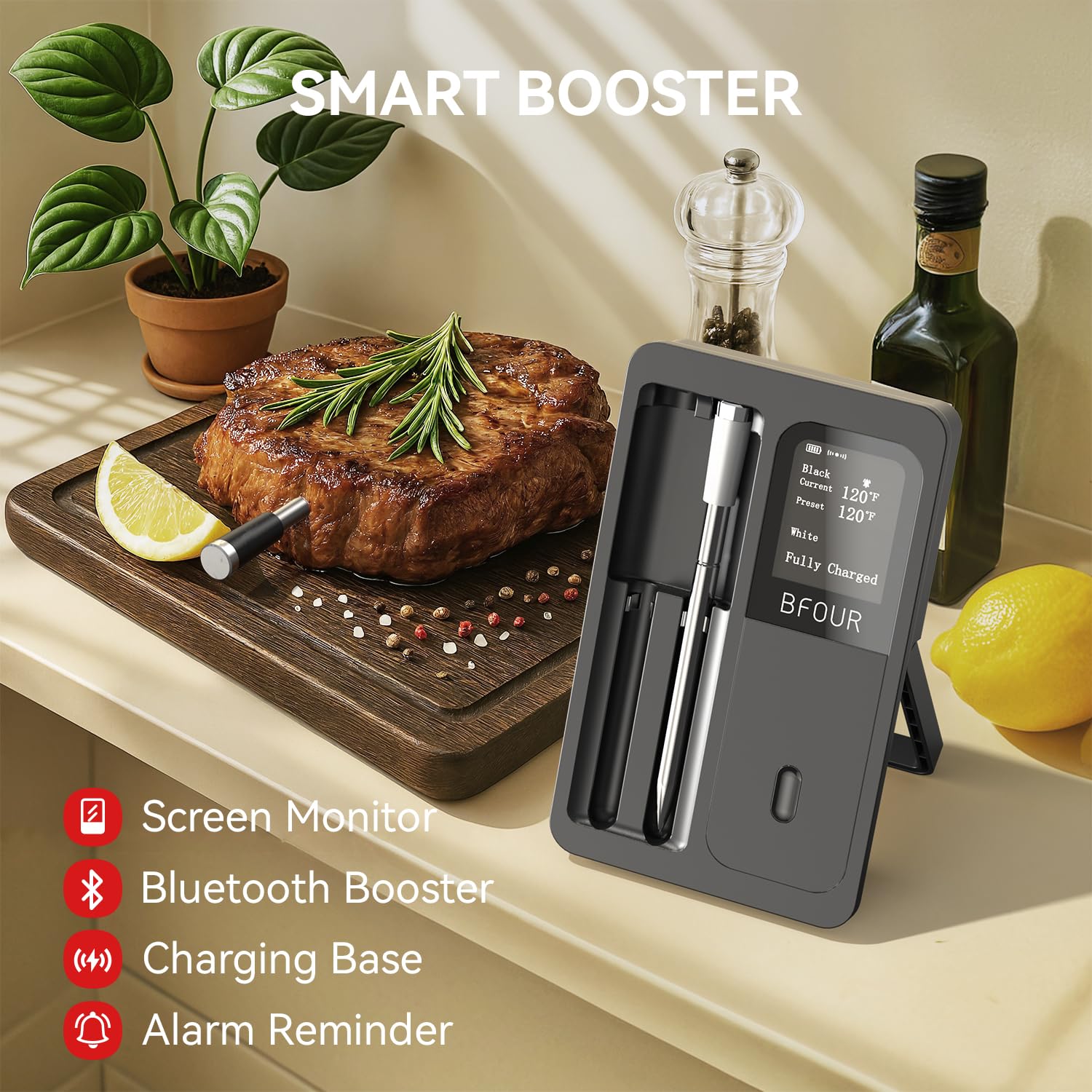 Kitchen Appliances Video - Draadloze vleesthermometer Bluetooth waterdichte sondes Oplaadbaar