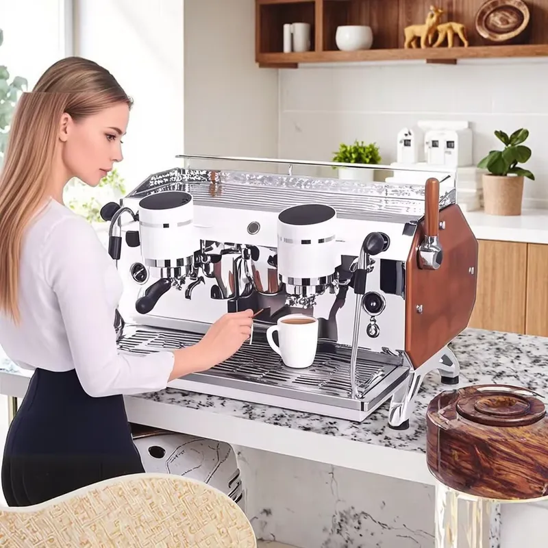 Multifunctionele semi-automati - Espresso Machine Semi Auto recensie en prijs