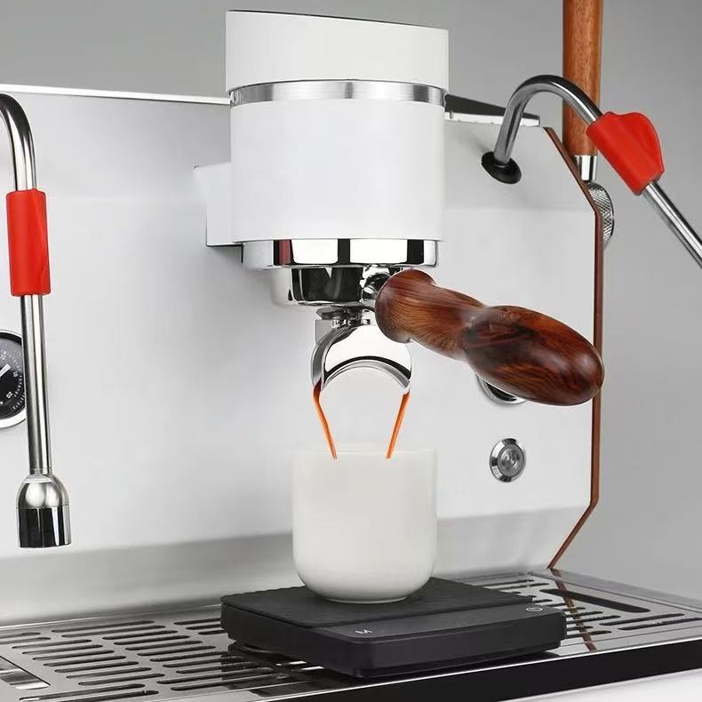 Professioneel dubbelkopig semi - Espresso Machine Semi Auto recensie en prijs