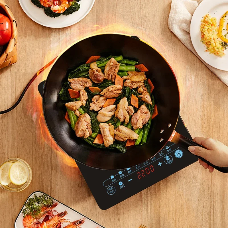 110V inductiekookplaat voor he - Kitchen Appliances In Japanese recensie en prijs